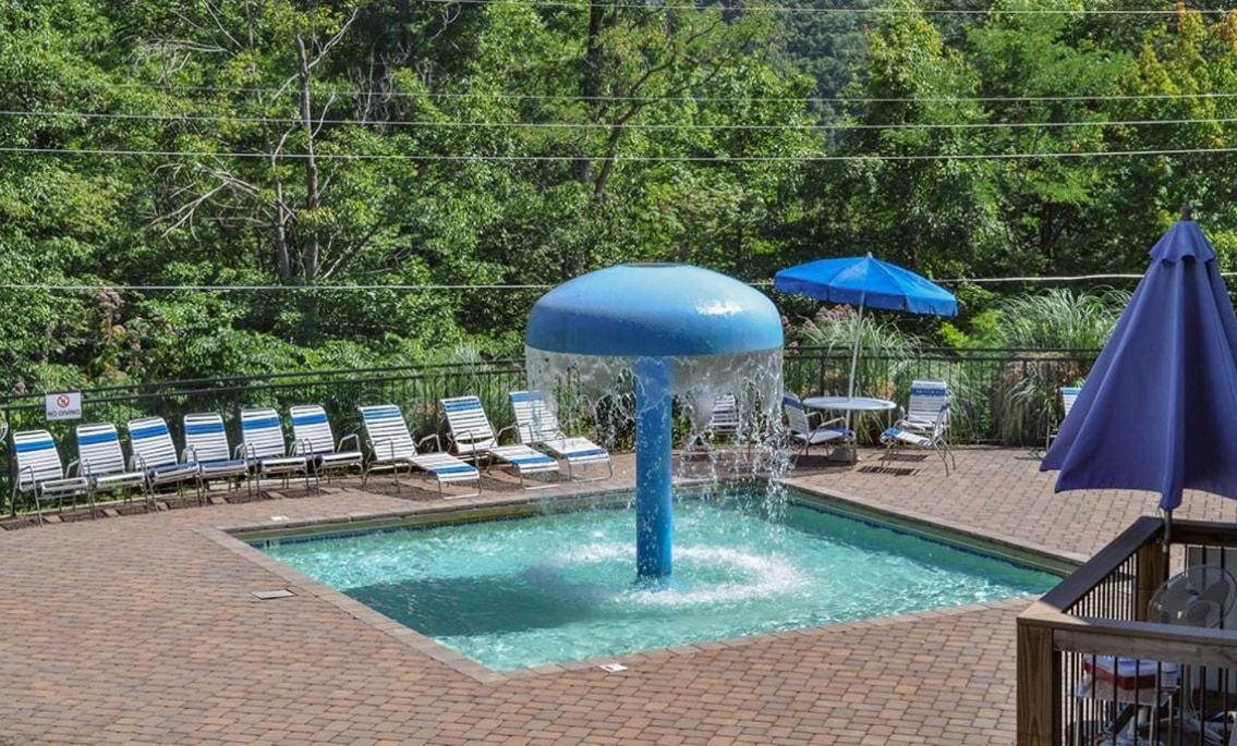 Villa Chestnut Bearadise à Gatlinburg Extérieur photo